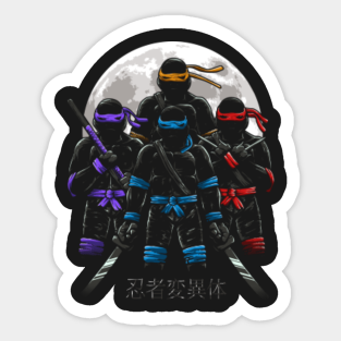 tortue ninja vans tortue ninja vans